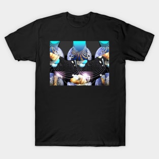 Yes, Albert, Space is Curved  (UF0123) T-Shirt